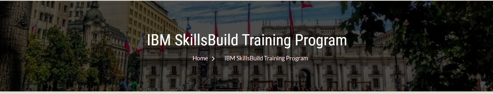IBM SkillsBuild Training Program