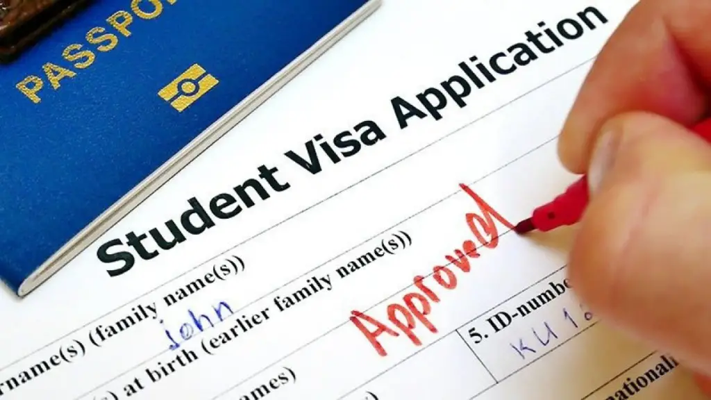 Dream Internship in the USA: A Step-by-Step Guide to US Visas & Travel Insurance"