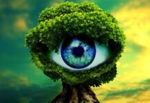 Healthy Eyes (Eye Yoga: The must for all of us) – (Free Course)