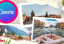 Canva for Beginners: Create Stunning Visuals Design – (Free Course)